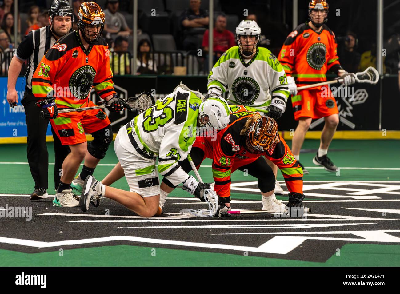 Faceoff entre Las Vegas Desert Dogs et Buffalo bandits Banque D'Images