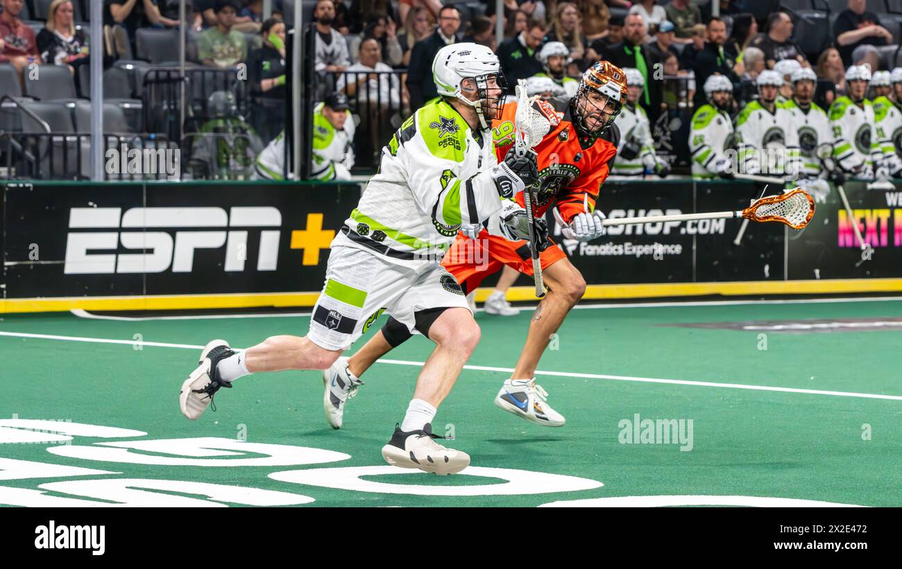 Joueur des chiens du désert de Las Vegas Banque D'Images