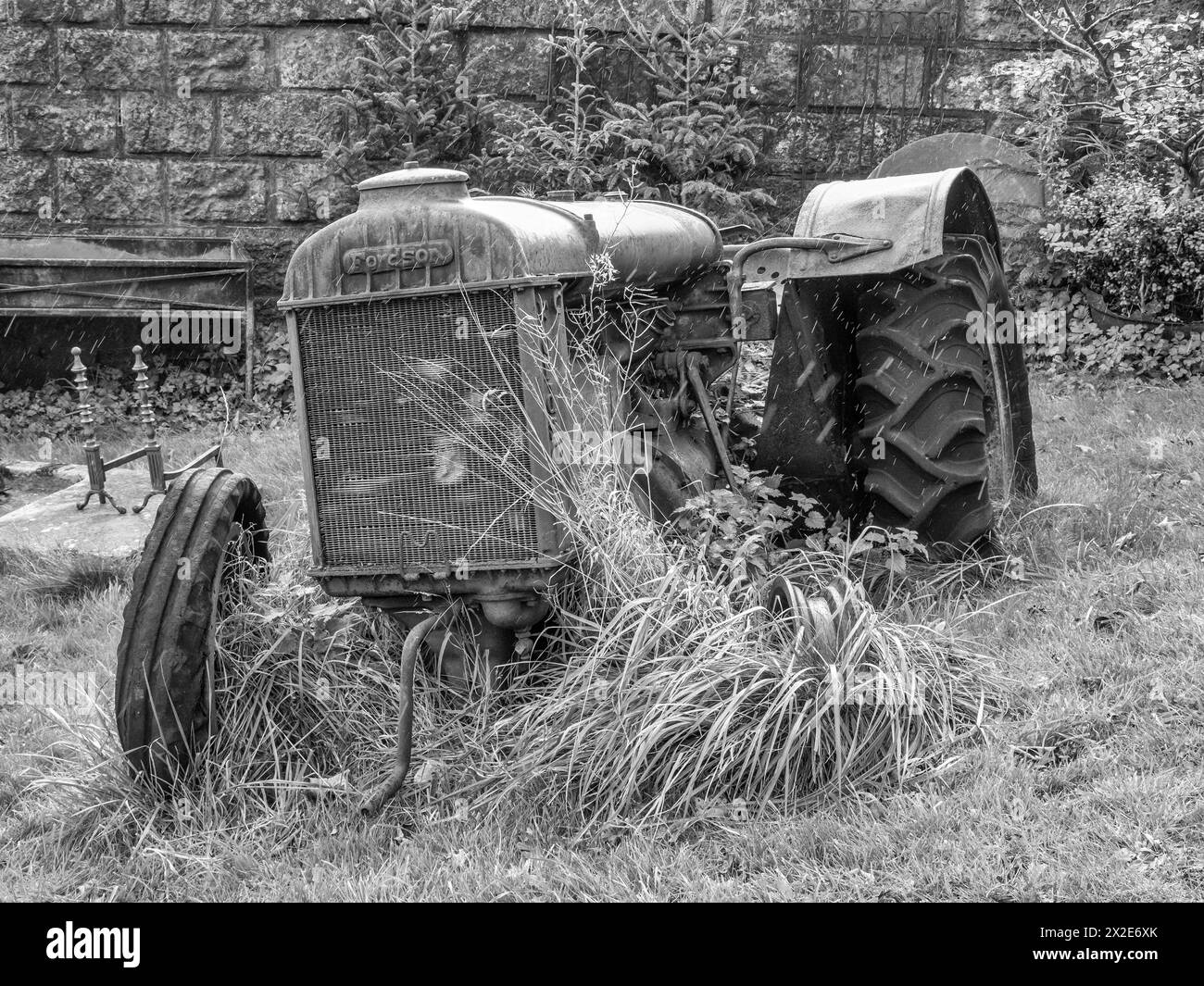 L'image est celle d'un tracteur Fordson abandonné qui a été construit en collaboration entre Ford et Massey Ferguson, d'où le fils. Banque D'Images