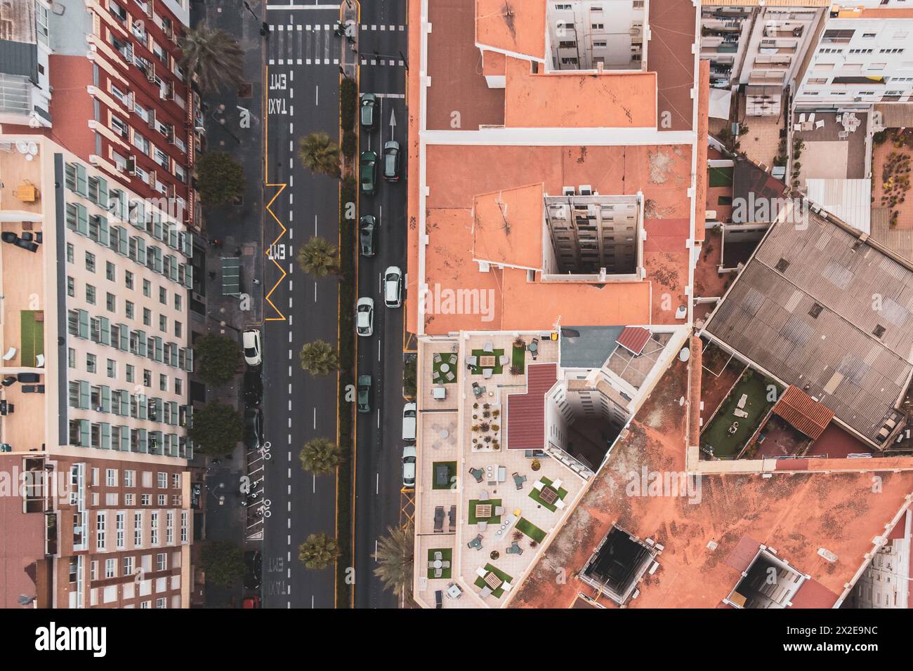 Tranquillité urbaine sur un toit de Valence, rue bordée de palmiers ci-dessous Banque D'Images