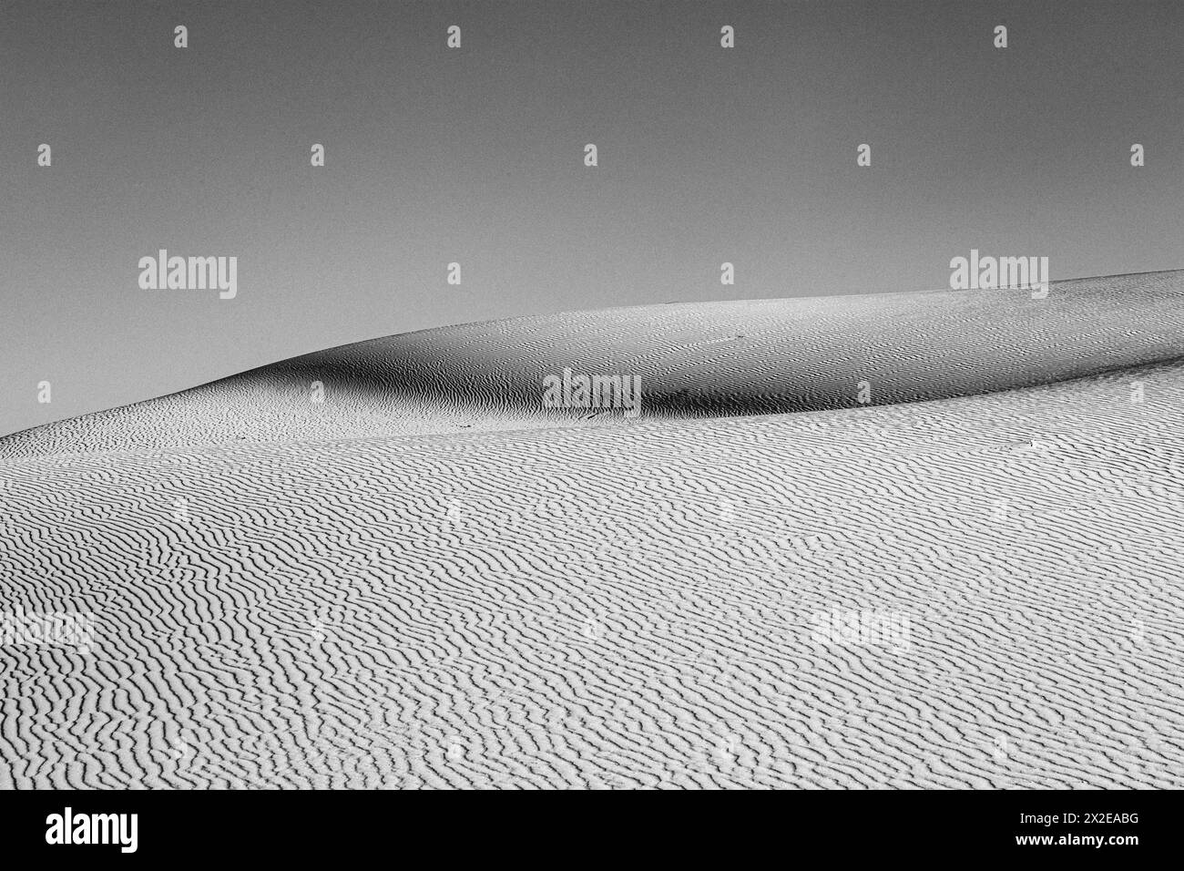 Vagues chatoyantes, motifs et textures sur une dune de sable. Banque D'Images