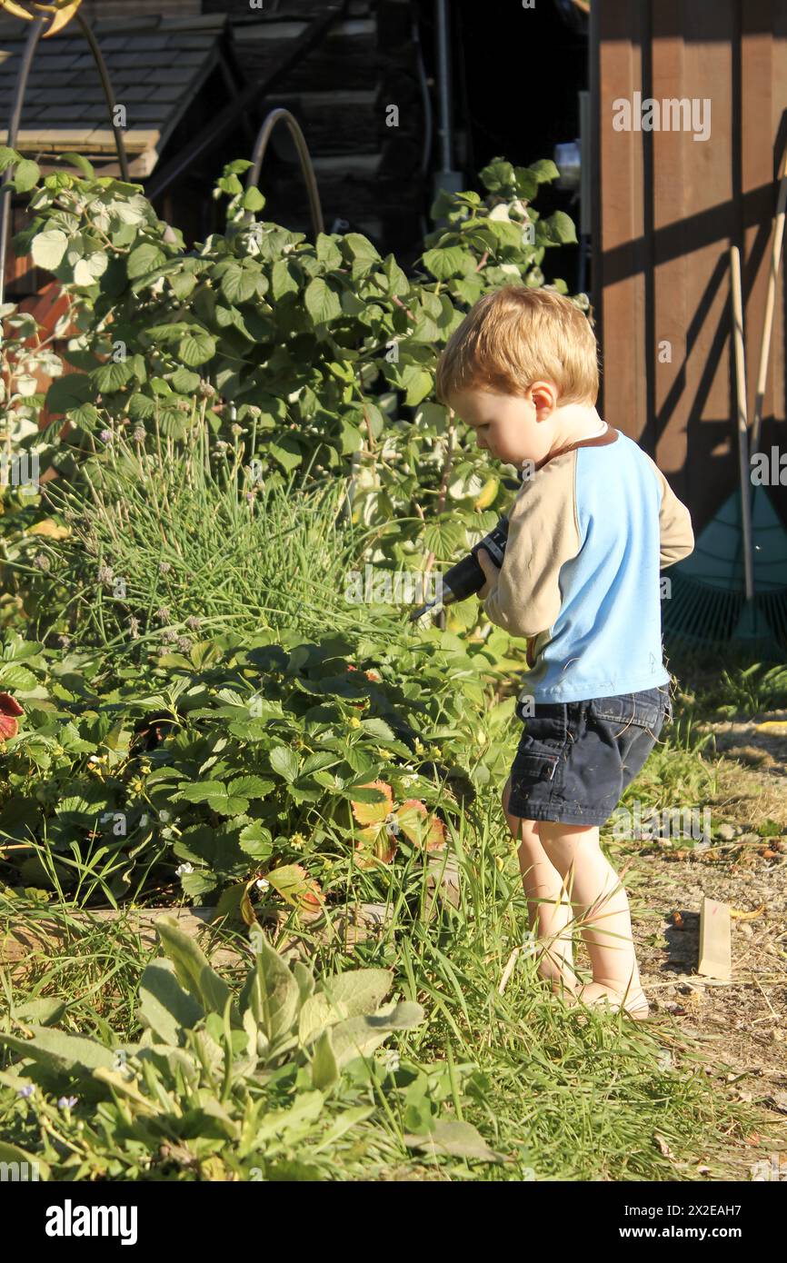 Petit garçon engrossé dans des aventures de jardin ensoleillées et la fixation de lit de jardin Banque D'Images