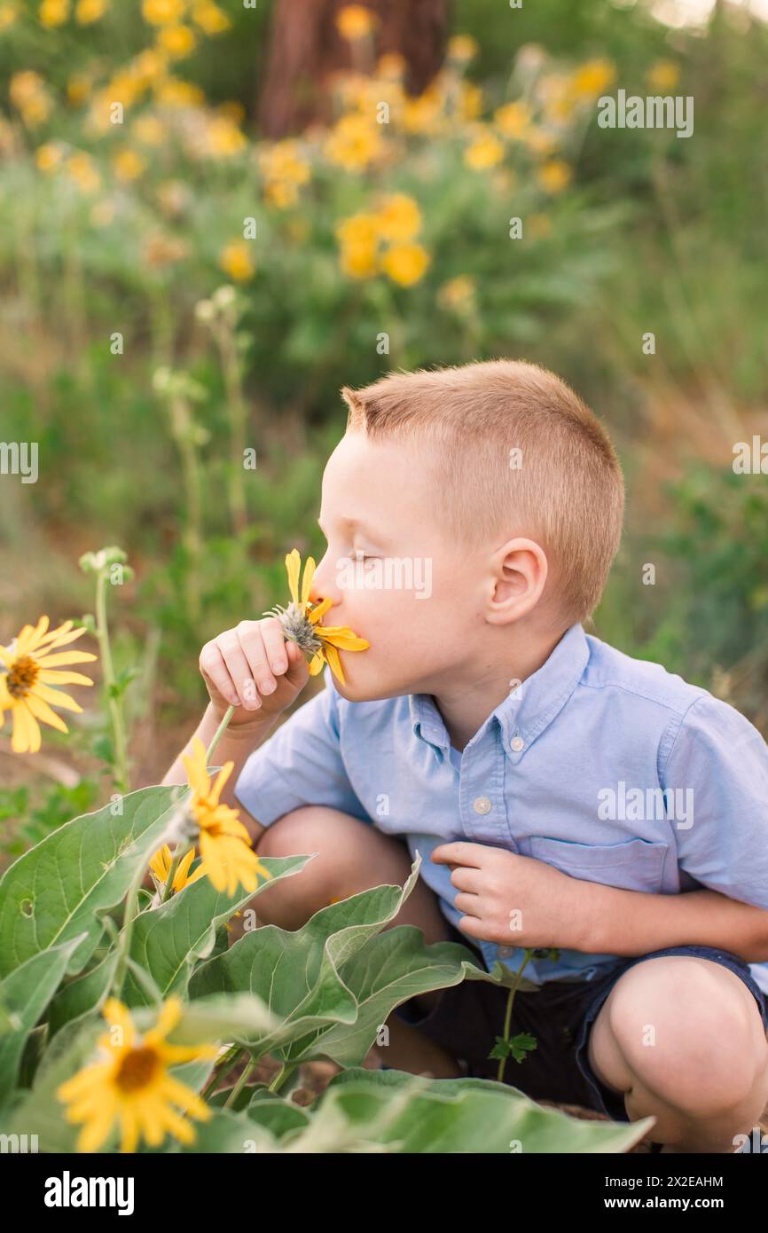 Petit garçon sentant une fleur sauvage Banque D'Images