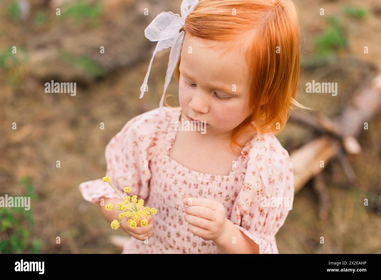 Petite fille aux cheveux rouges regardant des fleurs sauvages jaunes Banque D'Images