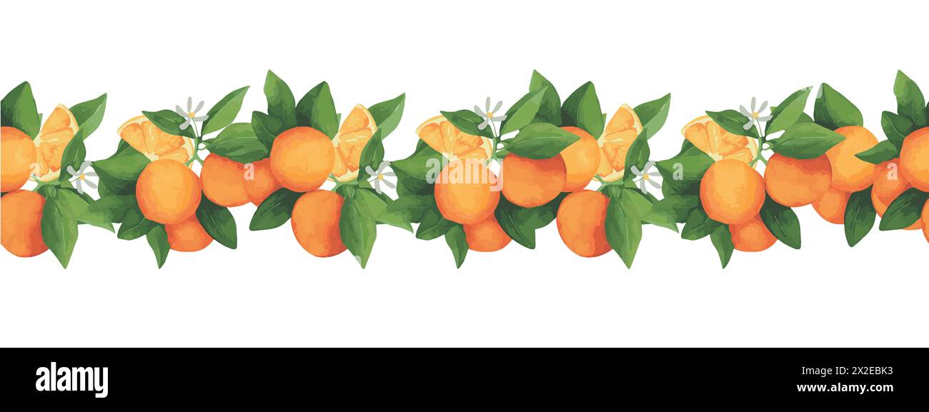 Aquarelle frontière branche mandarine. Branche dessinée à la main. Pour carte de voeux avec souhaits, invitation de mariage et annonce d'événements, carte de visite, l Banque D'Images