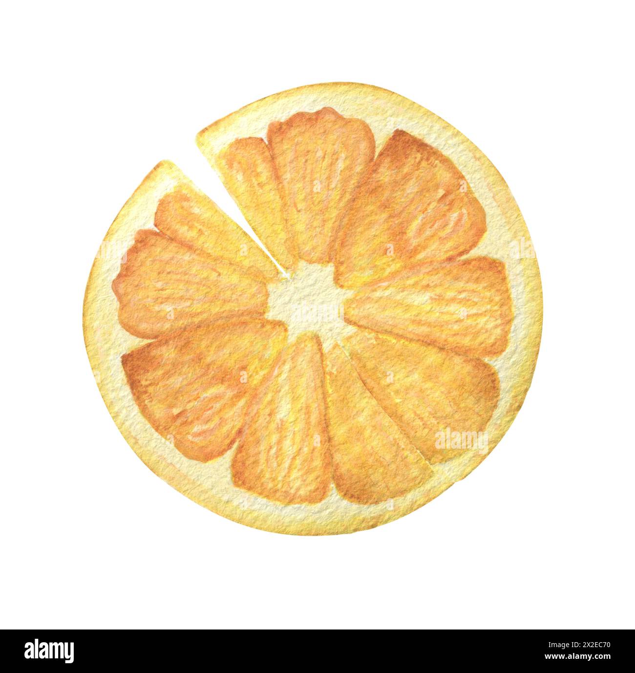 Tranche d'aquarelle orange wich craquer.élément unique dessiné à la main. Pour impression, invitation de carte. Banque D'Images