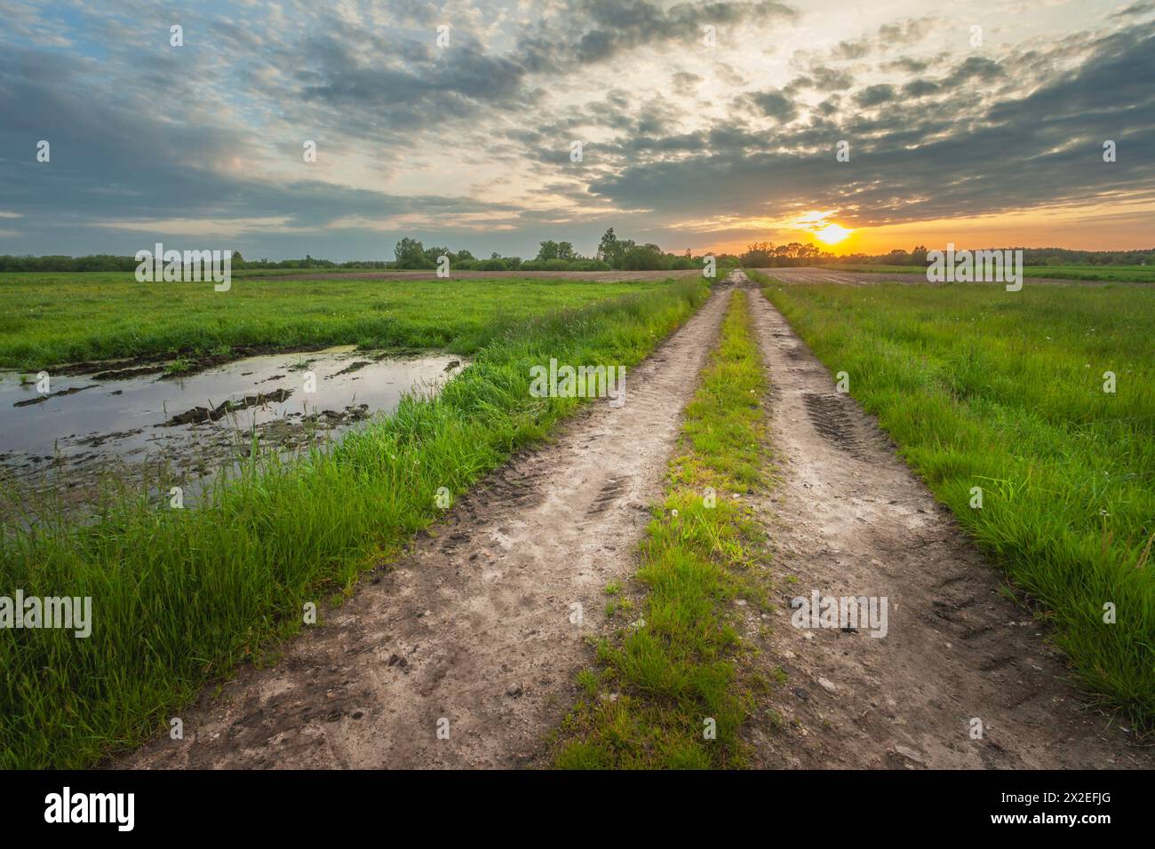 Vue d'un chemin de terre à travers des prairies verdoyantes humides et le ciel du coucher du soleil, soir de mai, Nowiny, Pologne Banque D'Images