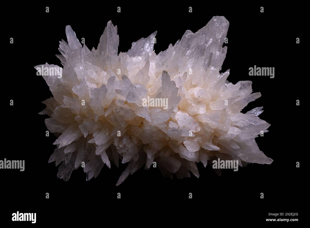 Spécimen minéral d'aragonite avec des cristaux exquis Banque D'Images