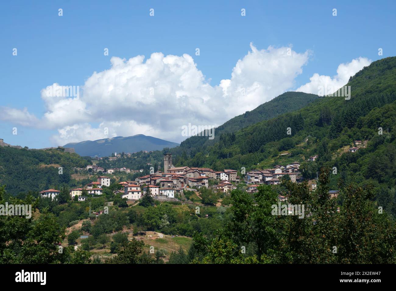 Paysage d'été le long de la route de Castelnuovo Garfagnana à San Romano, province de Lucques, Toscane, Italie Banque D'Images