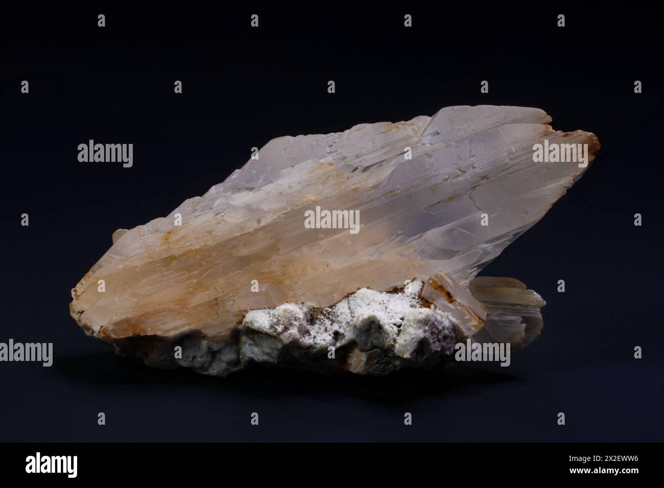 Spécimen minéral de cristal de gypse, photographie étonnante Banque D'Images