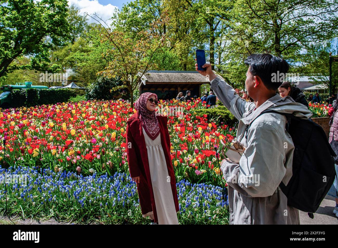 Une femme musulmane pose pour une photo devant des tulipes. Keukenhof est également connu comme le jardin de l'Europe l'un des plus grands jardins de fleurs du monde et est situé à lisse.The Netherlands.pendant les presque huit semaines qu'il est ouvert, plus de 1,4 millions de personnes du monde entier visiteront l'exposition. En plus des millions de tulipes, jonquilles et jacinthes dans le parc, les spectacles de fleurs à l'intérieur des pavillons sont devenus plus grands et plus beaux. (Photo de Ana Fernandez / SOPA images/SIPA USA) Banque D'Images