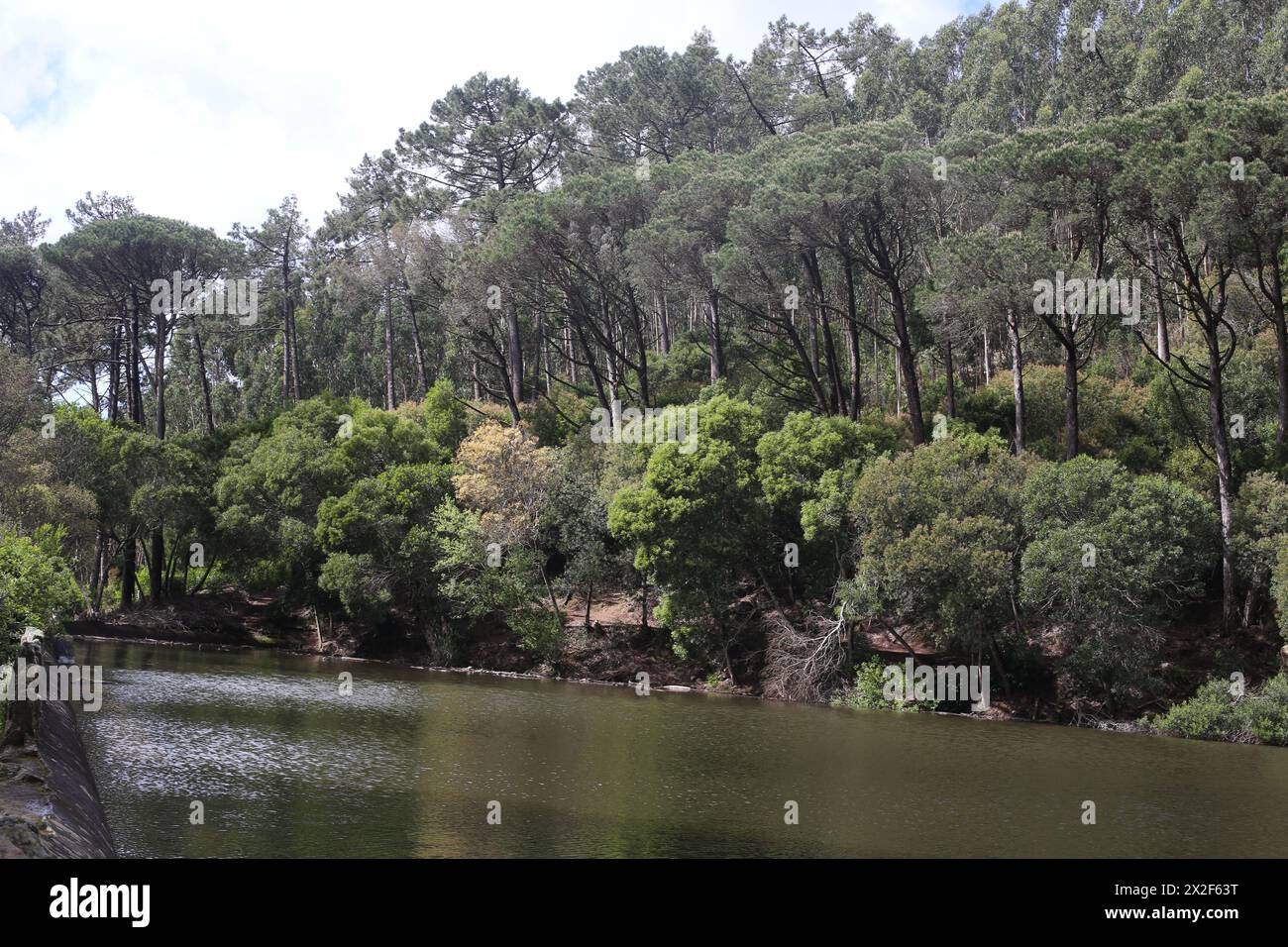 Lagoa Azul à Sintra, Portugal Banque D'Images