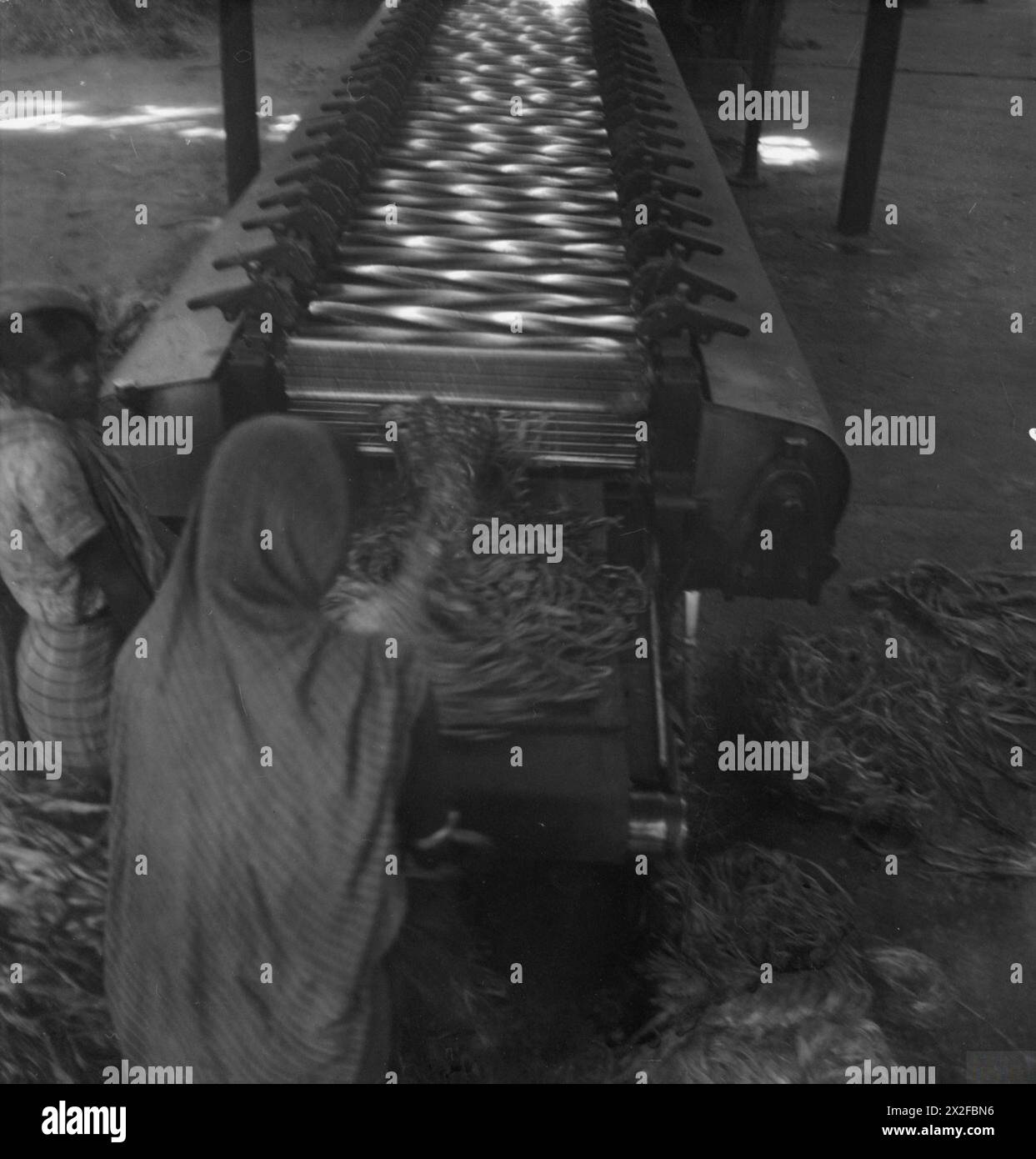 Le photographe Cecil Beaton documente la vie urbaine et rurale, les pratiques culturelles et la présence de forces militaires en Inde, en Birmanie et en Chine entre décembre 1943 et août 1944. Banque D'Images