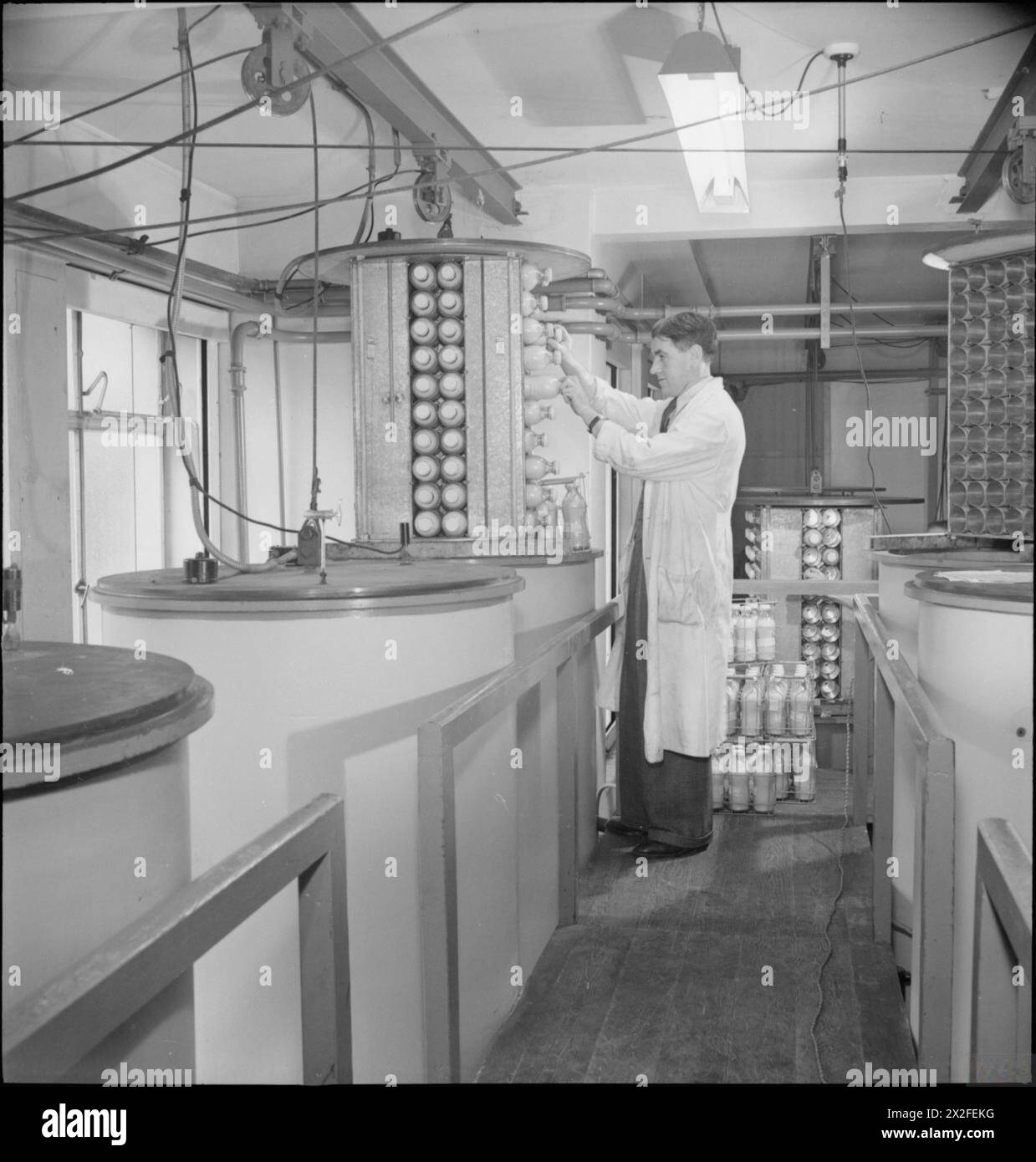 Les bouteilles de plasma séché sont retirées des chambres de séchage sous vide du laboratoire de l’Université de Cambridge, avec huit chambres fonctionnant par paires sur un cycle de séchage de trois jours. Banque D'Images