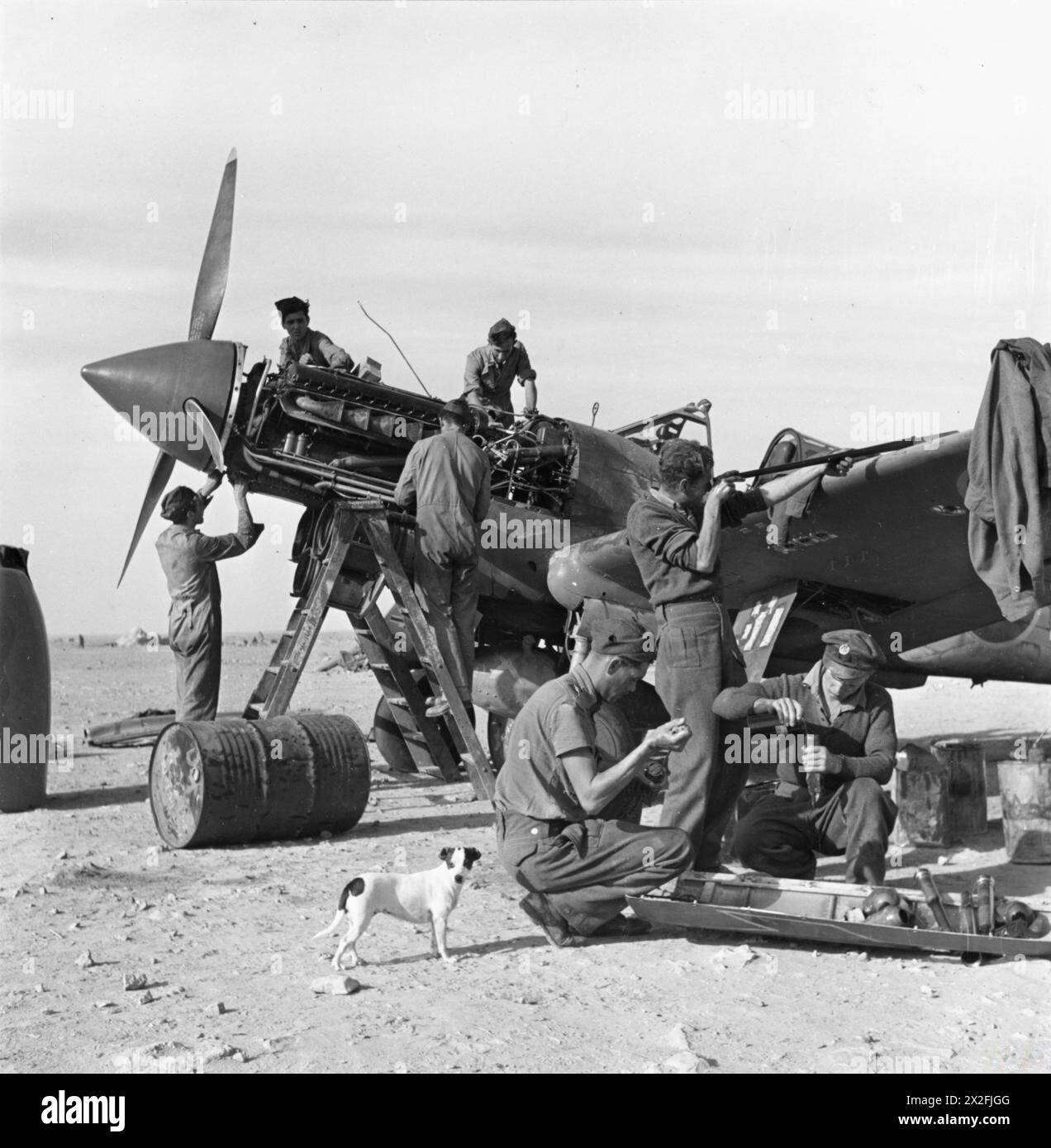 Photographie officielle montrant une scène militaire ou civile, documentant le personnel, l'activité et l'emplacement à titre officiel. Banque D'Images