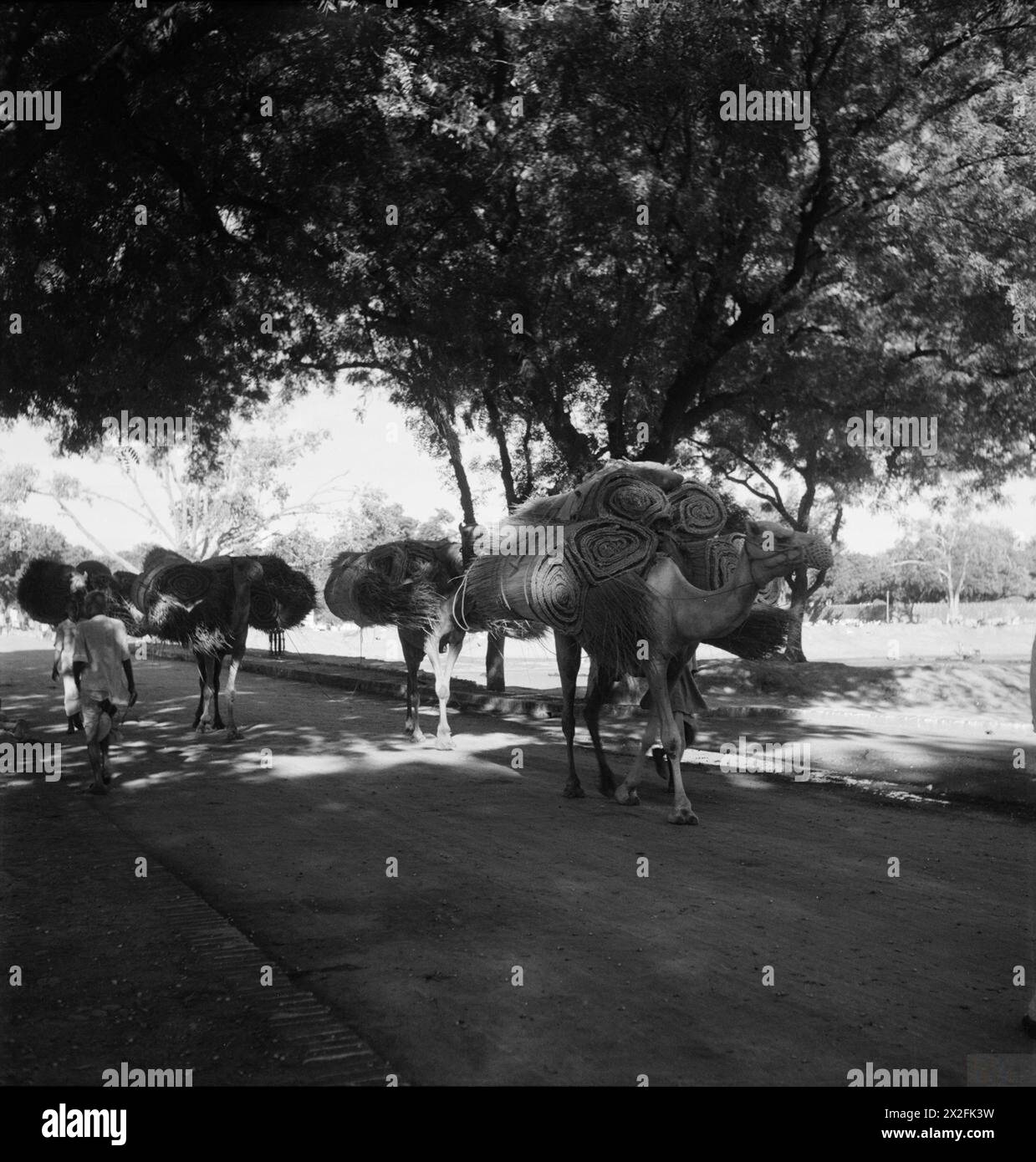 Cecil Beaton capture des images de la vie quotidienne, de l'architecture et des activités sociales en Inde, en Birmanie et en Chine entre décembre 1943 et août 1944. Banque D'Images