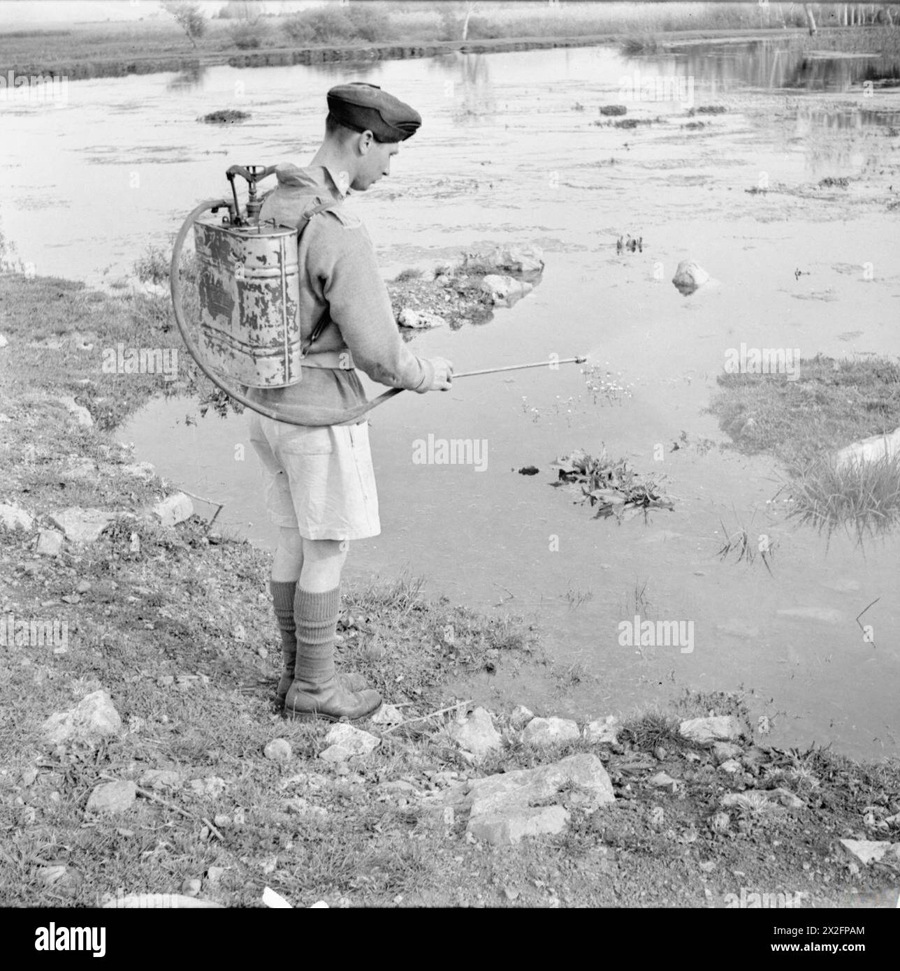 Le 11 mai 1942, l'armée britannique pulvérise du Paris Green sur un bassin stagnant en Syrie pour tuer les larves de moustiques et les nymphes, empêchant ainsi le paludisme parmi les troupes au moyen-Orient. Banque D'Images