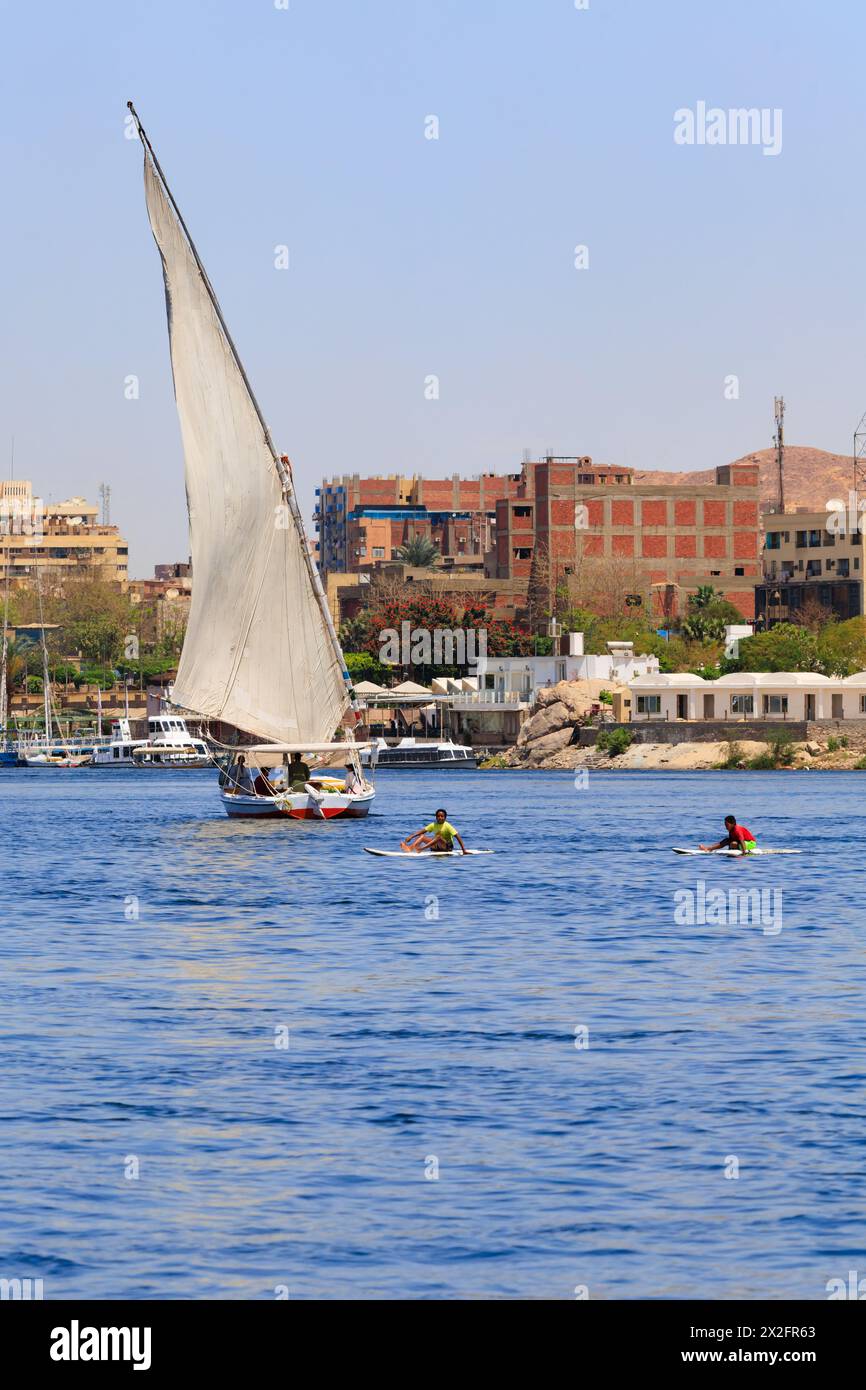 des garçons égyptiens sur des planches à pagaie attendant les bateaux de tourisme à mendier. Port d'Assouan, Égypte Banque D'Images