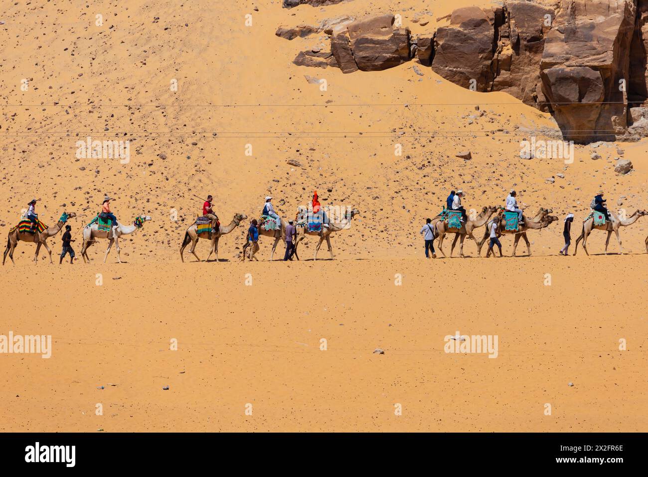 Les touristes font un tour en train à dos de chameau à travers le désert du Sahara, sur les rives du Nil. Assouan. Égypte Banque D'Images