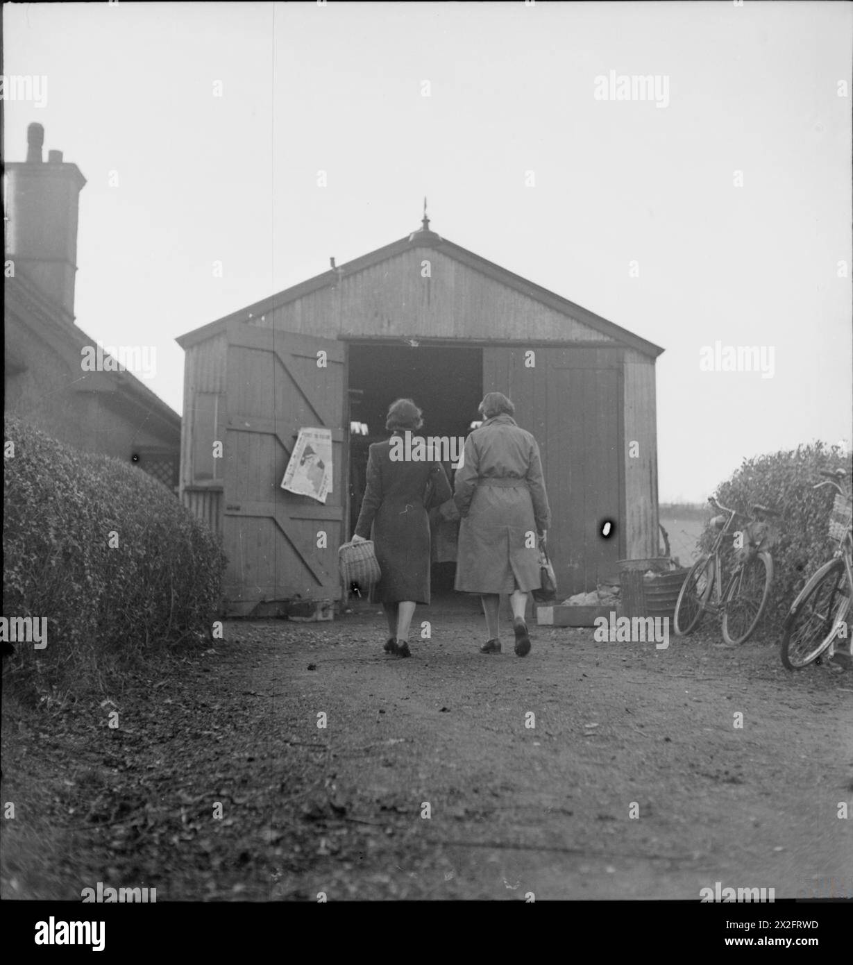 STEN GUN PRODUCTION EN GRANDE-BRETAGNE, 1943 - deux ouvriers de guerre à temps partiel entrent dans leur usine au début de leur quart de travail. Le bâtiment est un ancien poulailler qui est réutilisé comme lieu de fabrication de blocs de culasse à partir de barres d'acier solides. Cette « usine » appartenait à M. C W (Charles) Packard, un ingénieur et ancien entrepreneur de transport, et se trouvait probablement à Welwyn Garden City Banque D'Images