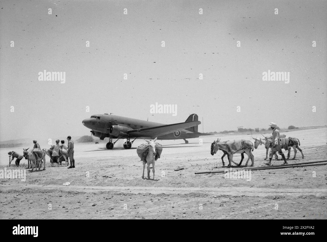 OPÉRATIONS DE LA ROYAL AIR FORCE EN EXTRÊME-ORIENT, 1941-1945. - Dakota Mark IV, KN394 'M', du No. 187 Squadron RAF basé à Merryfield, Somerset, taxies devant un train d'ânes au terminal aérien de Mauripur, Karachi, Inde. Mauripur fut le premier poste d'étape indien sur les vols de troupes entre le Royaume-Uni et Poona entrepris par l'escadron d'avril 1945 à mars 1946 Royal Air Force, Royal Air Force Regiment, Sqdn, 187 Banque D'Images