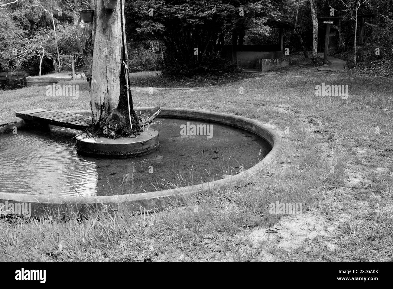 Petit lac à utiliser comme source d'eau potable dans une propriété touristique. monochrome Banque D'Images