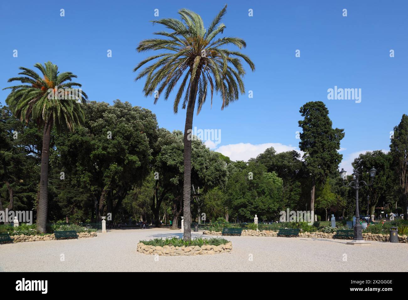 Grands et beaux palmiers sur Piazzale Napoleone I à Rome, Italie Banque D'Images