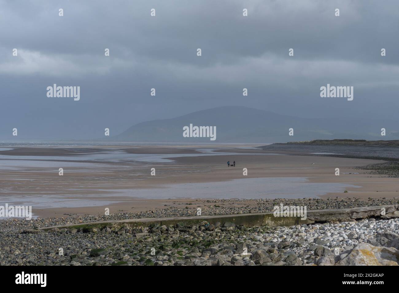 Vaste plage sur la rive ouest, Walney Island, Barrow-in-Furness, Cumbria, sous un ciel orageux gris avec la montagne Black Combe en arrière-plan. Banque D'Images
