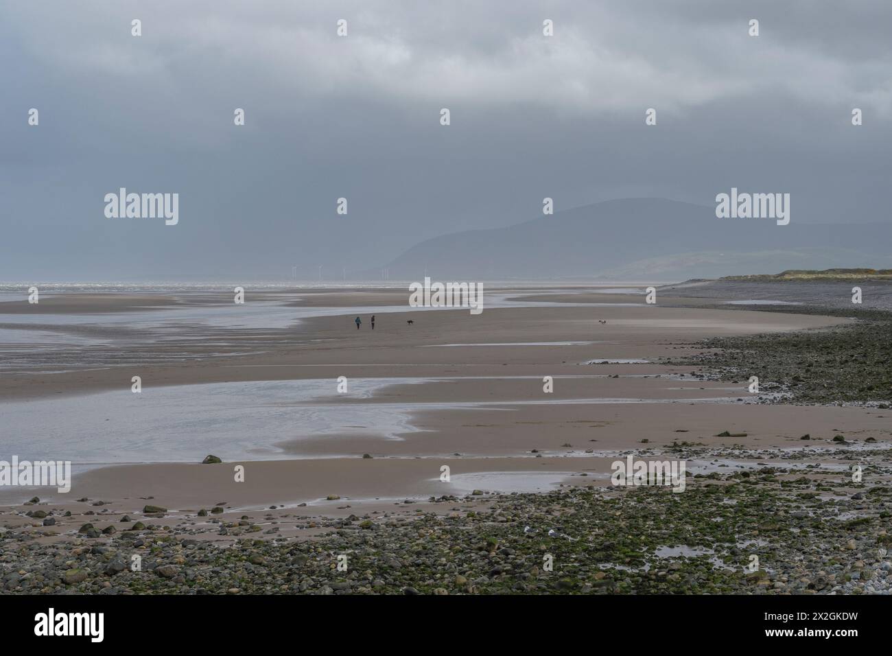Vaste plage sur la rive ouest, Walney Island, Barrow-in-Furness, Cumbria, sous un ciel orageux gris avec la montagne Black Combe en arrière-plan. Banque D'Images