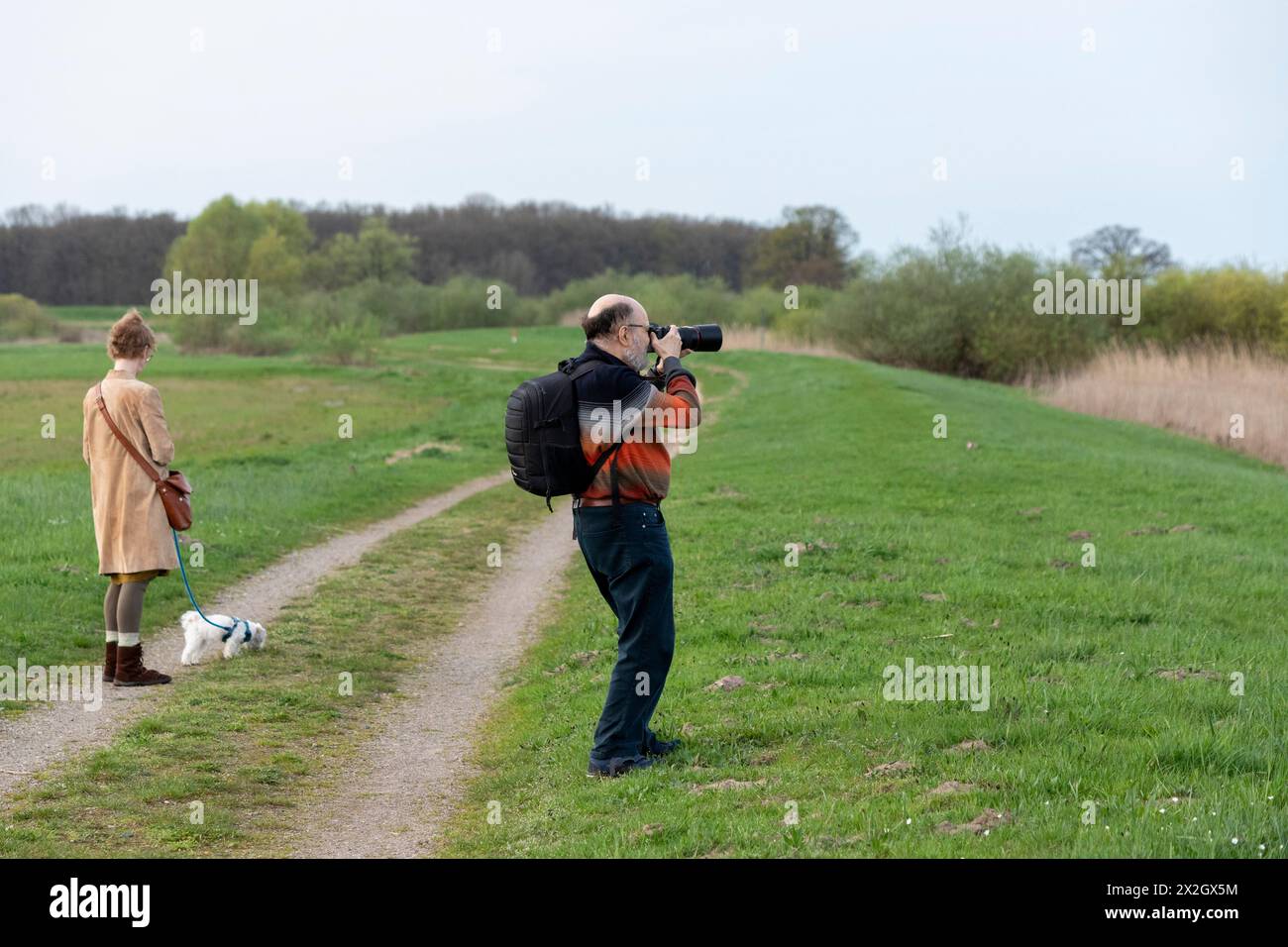 Homme âgé prenant des photos, femme, chien, zones humides de l'Elbe près de Bleckede, basse-Saxe, Allemagne Banque D'Images