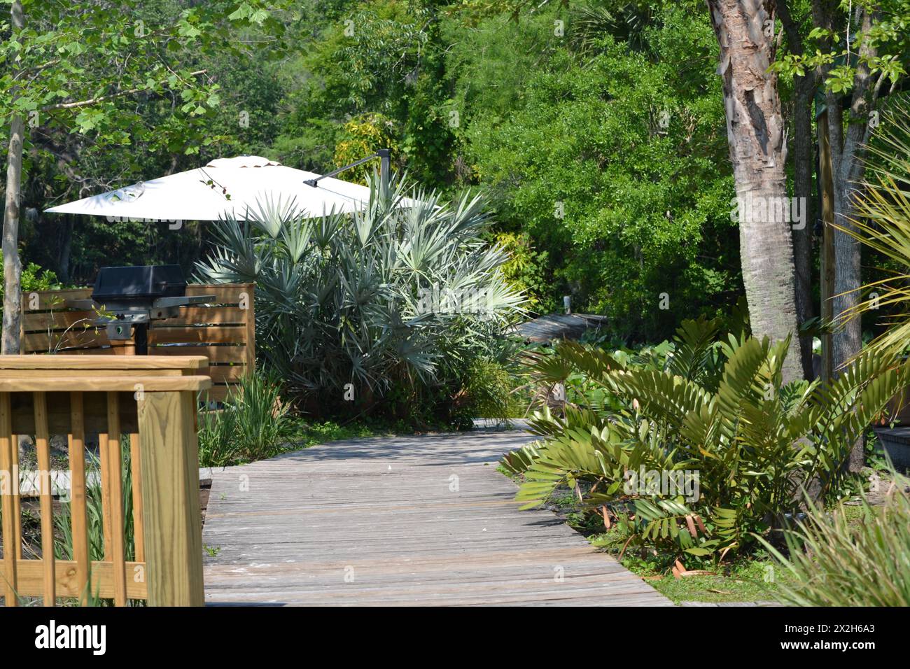 Une passerelle mène à une cabane privée, avec des barbecues et des tentes, à Wekiva Island à Longwood, en Floride. Banque D'Images