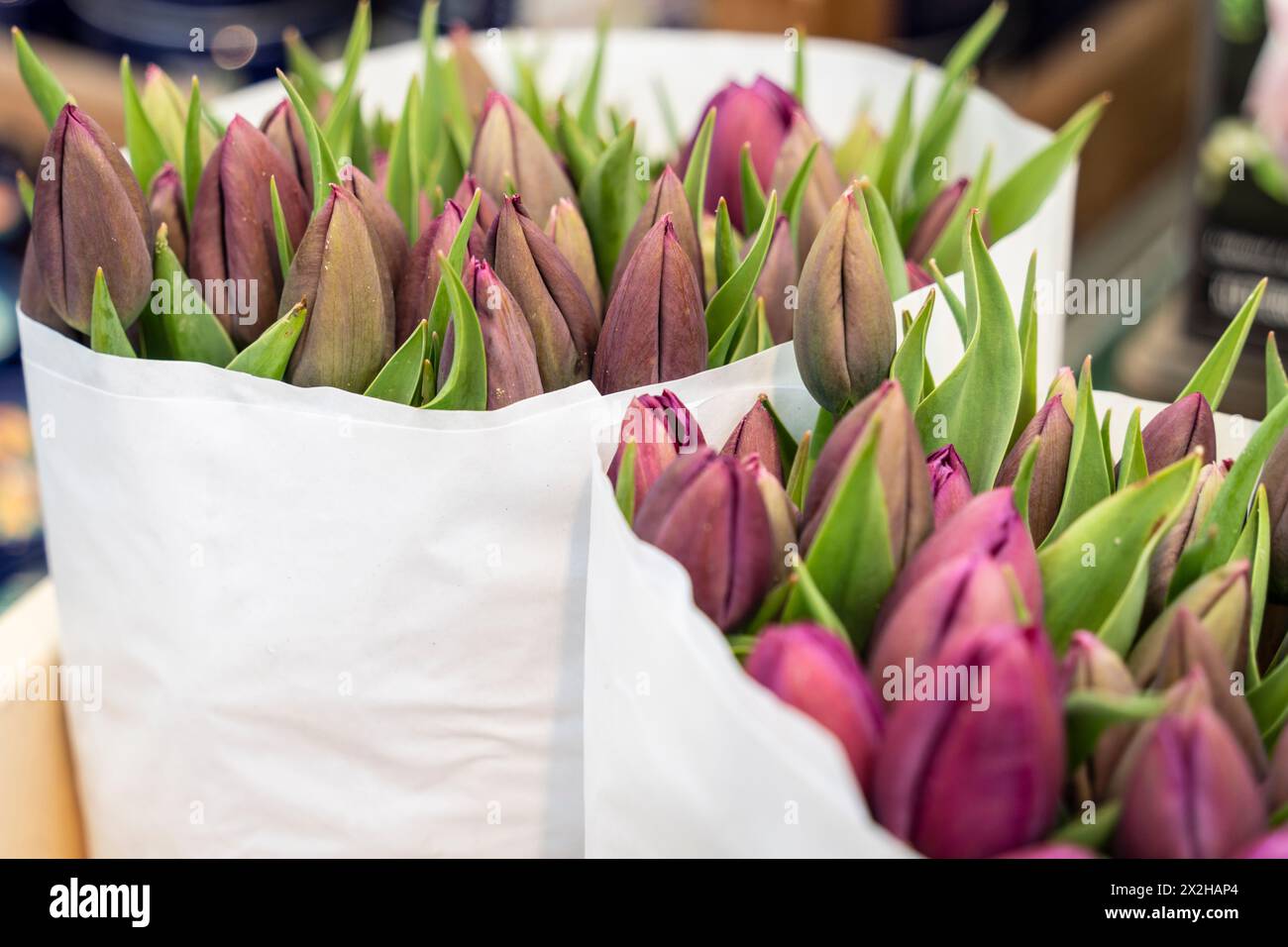 Marché aux fleurs -Bloemenmarkt-, canal Singel, Amsterdam, pays-Bas Banque D'Images