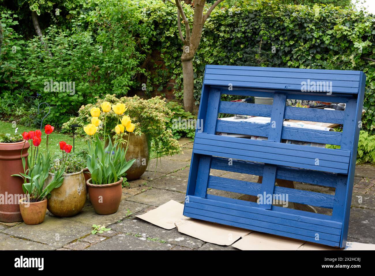 La palette en bois recyclé a été transformée en jardinière pour le jardin dans un projet d’upcycling respectueux de l’environnement Banque D'Images