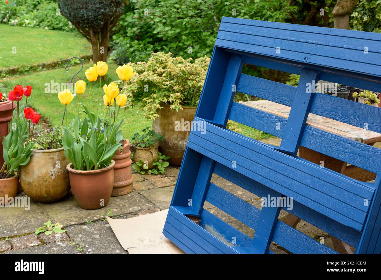 La palette en bois recyclé a été transformée en jardinière pour le jardin dans un projet d’upcycling respectueux de l’environnement Banque D'Images
