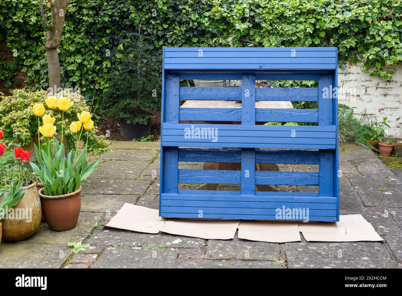 La palette en bois recyclé a été transformée en jardinière pour le jardin dans un projet d’upcycling respectueux de l’environnement Banque D'Images