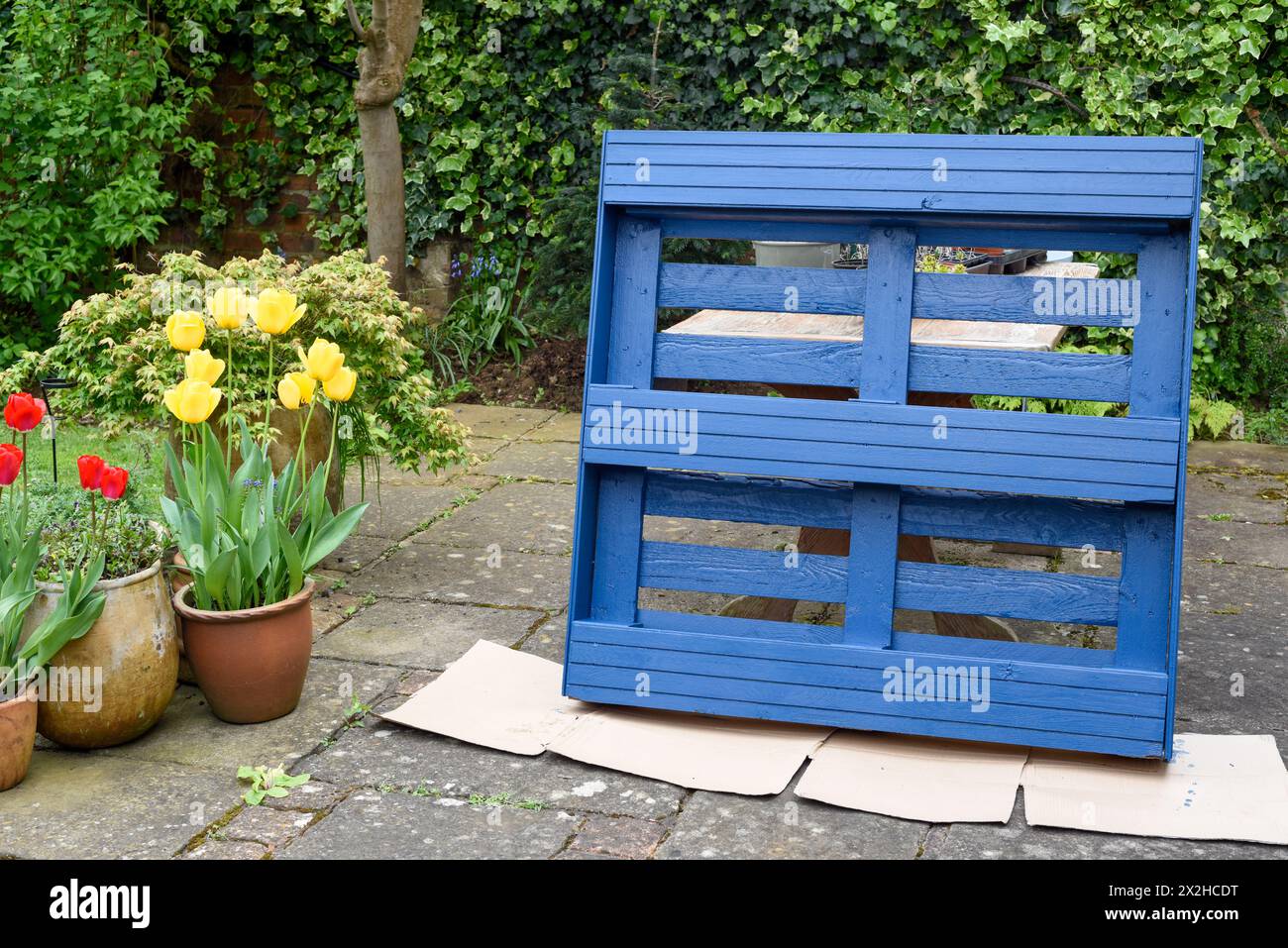 La palette en bois recyclé a été transformée en jardinière pour le jardin dans un projet d’upcycling respectueux de l’environnement Banque D'Images