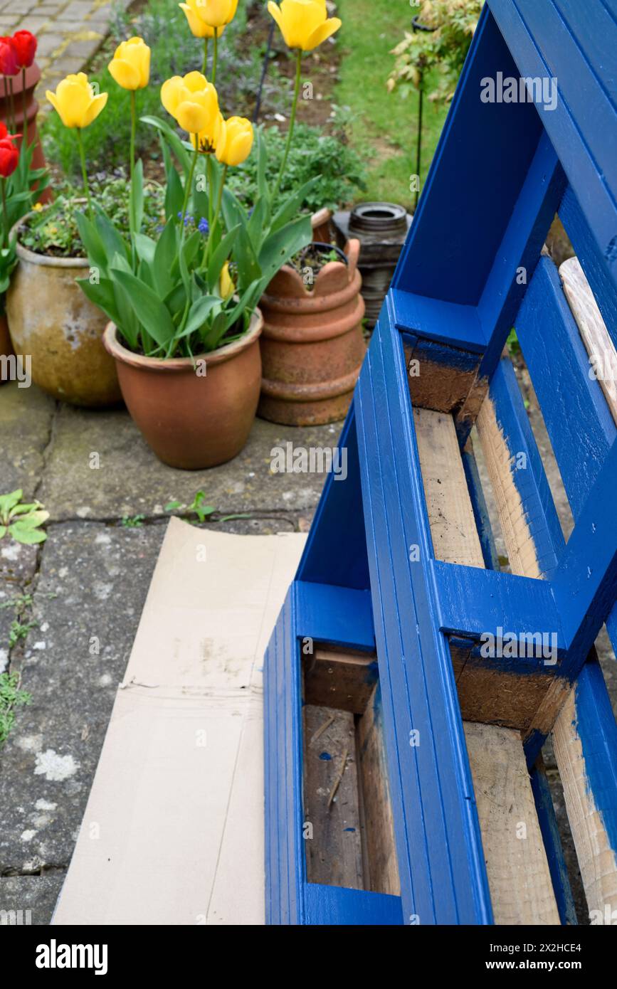 La palette en bois recyclé a été transformée en jardinière pour le jardin dans un projet d’upcycling respectueux de l’environnement Banque D'Images