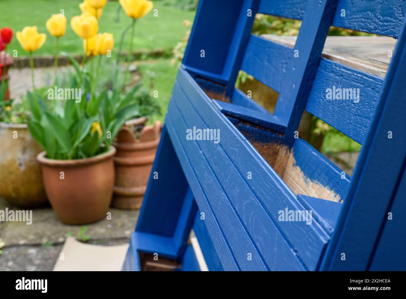 La palette en bois recyclé a été transformée en jardinière pour le jardin dans un projet d’upcycling respectueux de l’environnement Banque D'Images