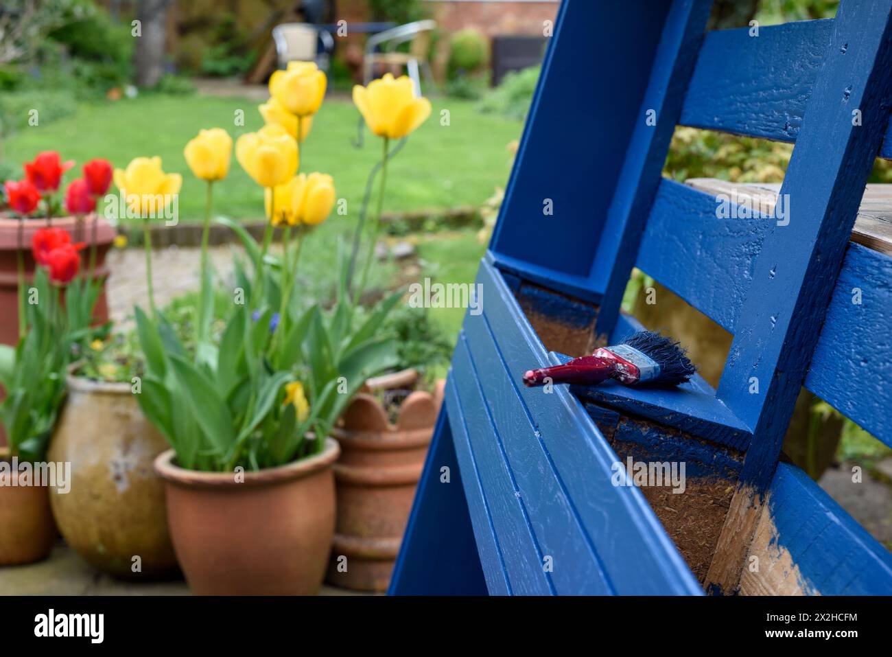 La palette en bois recyclé a été transformée en jardinière pour le jardin dans un projet d’upcycling respectueux de l’environnement Banque D'Images