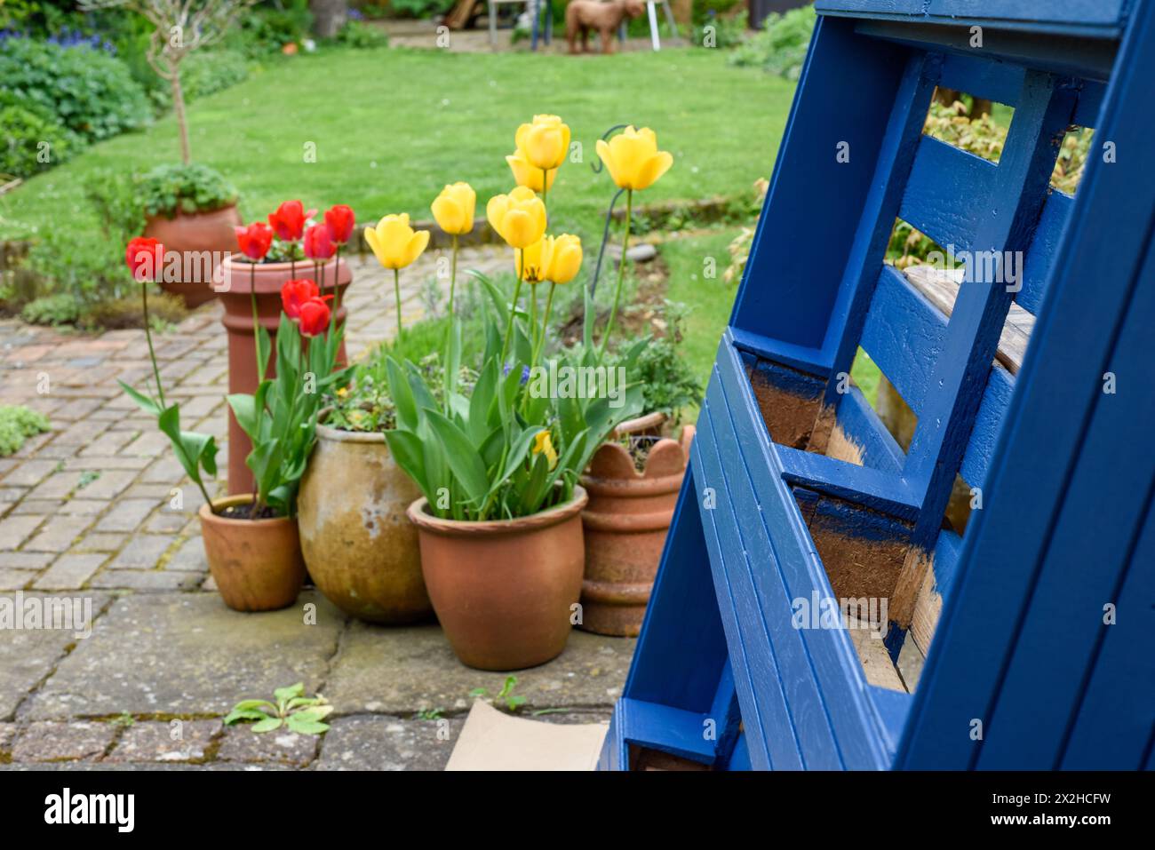 La palette en bois recyclé a été transformée en jardinière pour le jardin dans un projet d’upcycling respectueux de l’environnement Banque D'Images