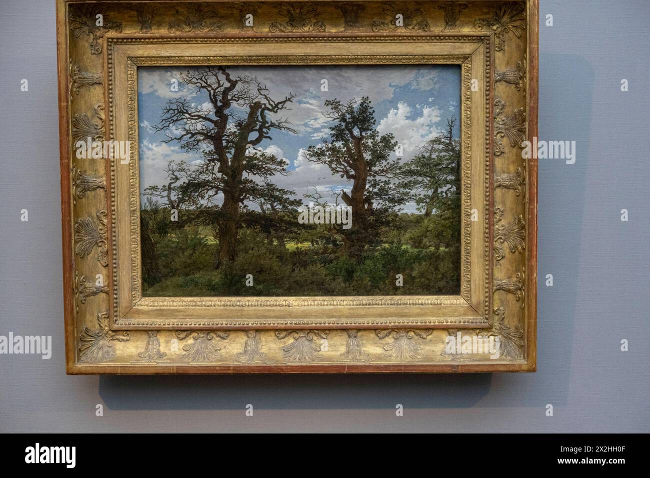 Oelgemaelde Landschaft mit Eichen und Jaeger des Kunstmuseum Winterthur, Sonderausstellung unendliche Landschaften vom Maler der Romantik Caspar David Friedrich, in der Alten Nationalgalerie, Querformat, AM 19.04.2024 in Berlin Mitte, nur fuer redaktionelle Zwecke, usage éditorial uniquement Alte Nationalgalerie etc - Berlin *** peinture à l'huile paysage avec chênes et chasseurs du Kunstmuseum Winterthur, exposition spéciale paysages infinis par le peintre romantique Caspar David Friedrich, dans l'Alte Nationalgalerie, format paysage, le 19 04 2024 à Berlin Mitte, uniquement pour usage éditorial, éditorial u Banque D'Images