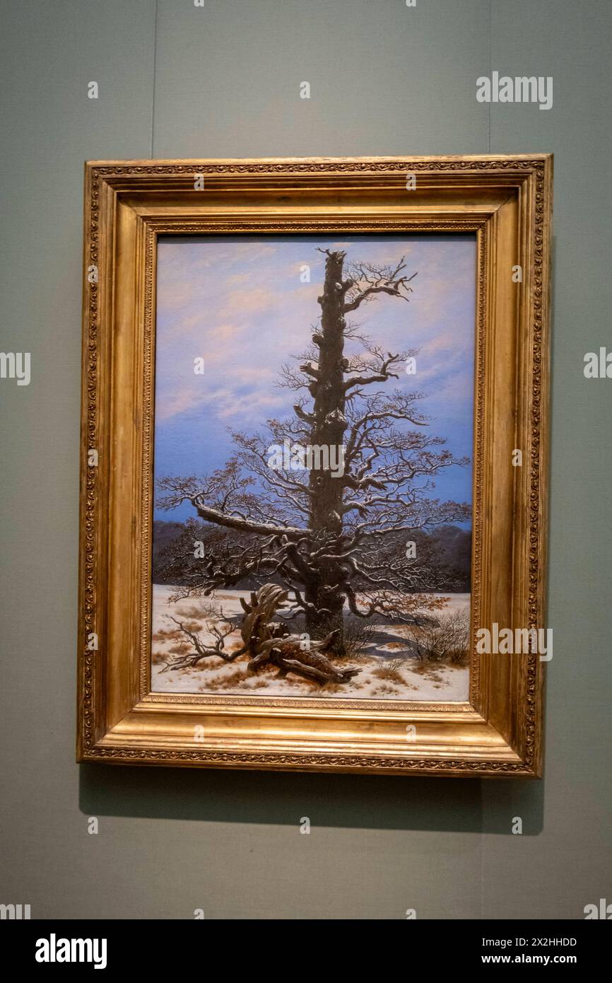 Oelgemaelde Eichbaum im Schnee, Sonderausstellung unendliche Landschaften vom Maler der Romantik Caspar David Friedrich, in der Alten Nationalgalerie, Hochformat, AM 19.04.2024 in Berlin Mitte, nur fuer redaktionelle Zwecke, Editorial use only Alte Nationalgalerie etc - Berlin *** peinture à l'huile Eichbaum im Schnee, exposition spéciale unendliche Landschaften vom Maler der Romantik Caspar David Friedrich, in der Alten Nationalgalerie, format portrait, le 19 04 2024 à Berlin Mitte, pour usage éditorial exclusif, usage éditorial exclusif Alte Nationalgalerie etc Berlin Banque D'Images