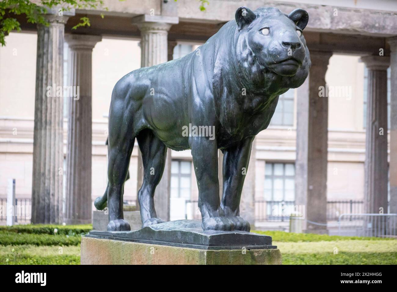 Bronze Skulptur Loewe von August Gaul im Kolonnadenhof der Alten Nationalgalerie, Querformat, AM 19.04.2024 à Berlin Mitte Alte Nationalgalerie etc - Berlin *** sculpture en bronze Loewe par August Gaul dans la cour colonnade de l'Alte Nationalgalerie, format paysage, le 19 04 2024 à Berlin Mitte Alte Nationalgalerie etc Berlin Banque D'Images