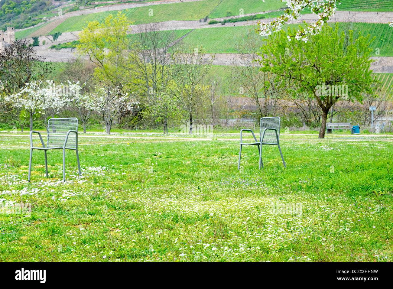 Beau parc en Europe au printemps près d'une rivière. Deux chaises sous l'arbre. Reposez-vous et détendez-vous dans la nature. Banque D'Images