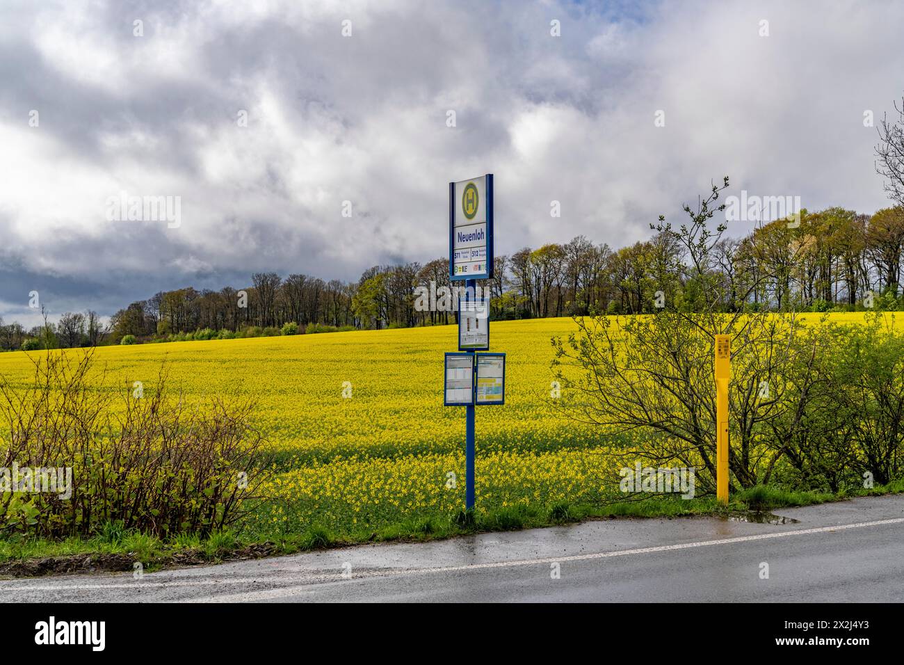 Arrêt de bus, transports locaux à la campagne, près de Breckerfeld, arrêt Neuenloh, sur la L528, quartier Ennepe-Ruhr, NRW, Allemagne, Banque D'Images