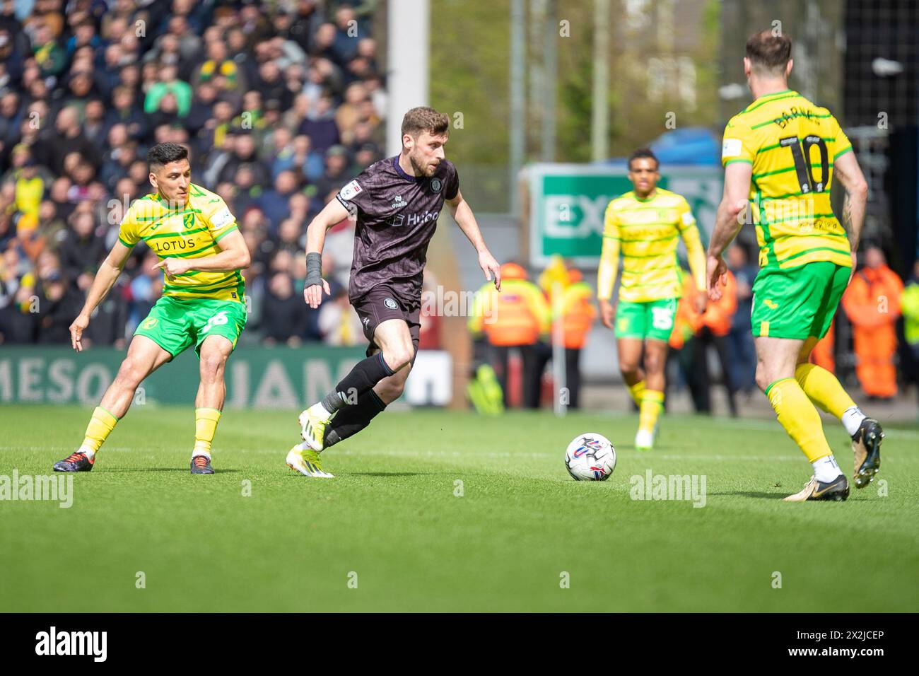 Marcelino Nunez de Norwich City met la pression sur Joe Williams de Bristol City lors du match du Sky Bet Championship entre Norwich City et Bristol City à Carrow Road, Norwich, samedi 20 avril 2024. (Photo : David Watts | mi News) crédit : MI News & Sport /Alamy Live News Banque D'Images