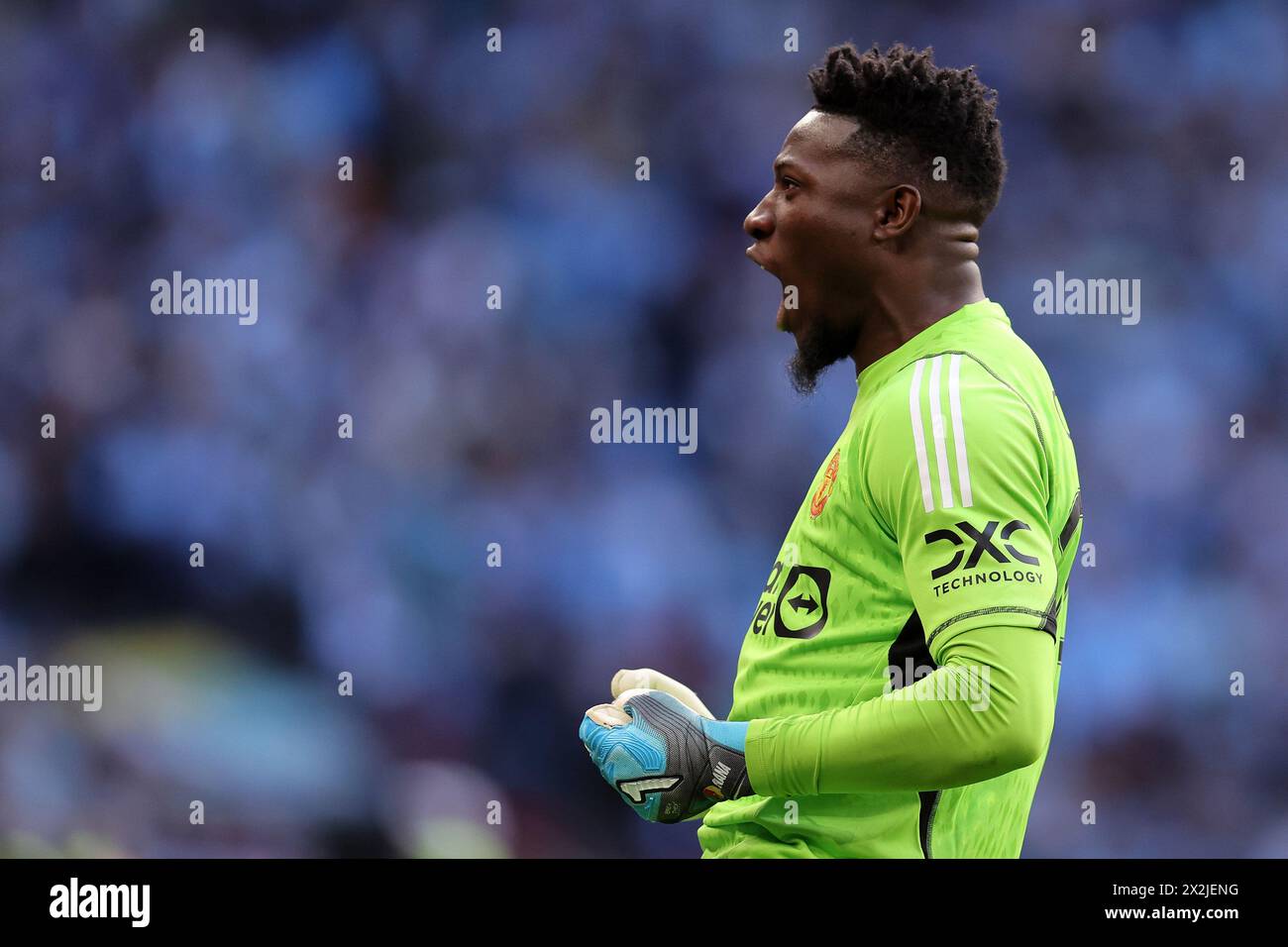 Londres, Royaume-Uni. 21 avril 2024. André Onana, le gardien de Manchester Utd célèbre après le match. La demi-finale de l'Emirates FA Cup, Coventry City v Manchester Utd au stade de Wembley à Londres le dimanche 21 avril 2024. Usage éditorial exclusif. photo par Andrew Orchard/Andrew Orchard photographie sportive/Alamy Live News crédit : Andrew Orchard photographie sportive/Alamy Live News Banque D'Images