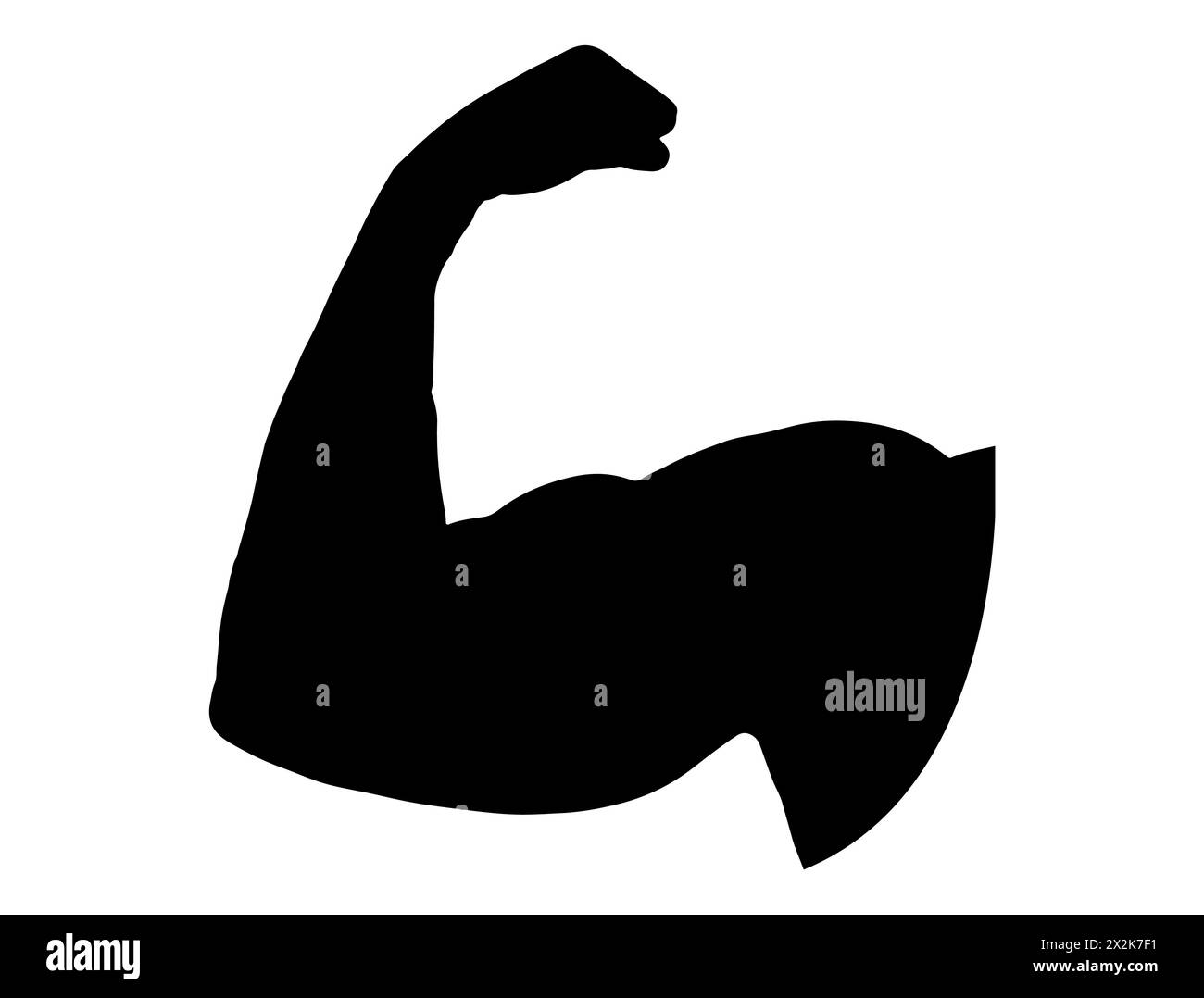 Art vectoriel de silhouette de muscle Illustration de Vecteur
