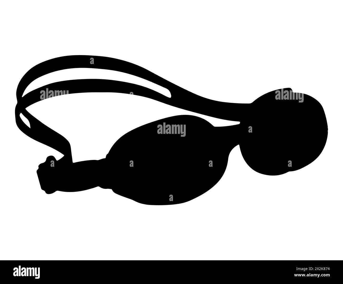 Lunettes de natation silhouette art vectoriel Illustration de Vecteur Lunettes de natation silhouette art vectoriel Illustration de Vecteur