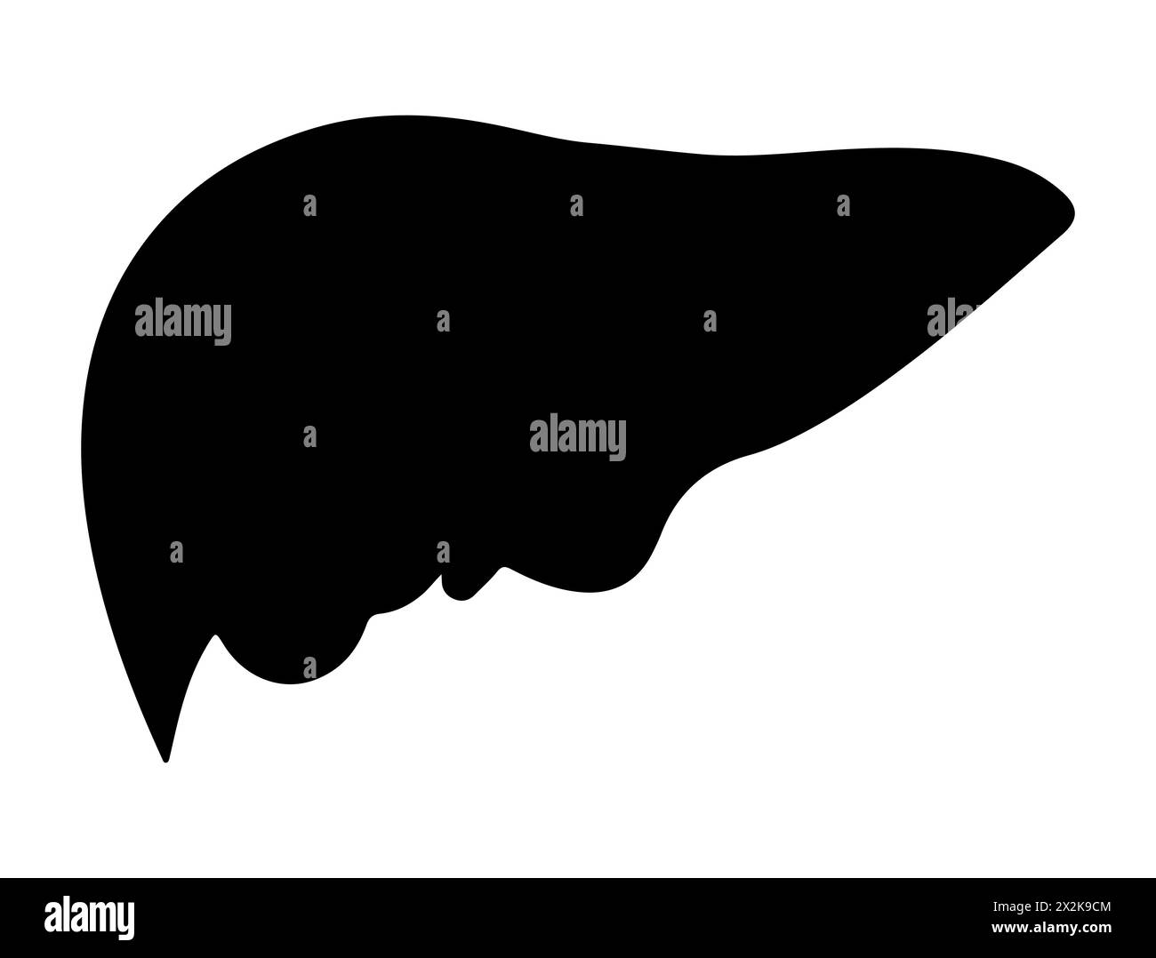 Art vectoriel de silhouette de foie humain Illustration de Vecteur